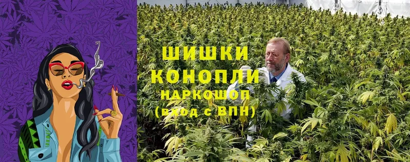 Бошки марихуана OG Kush  даркнет сайт  блэк спрут ТОР  Муром 